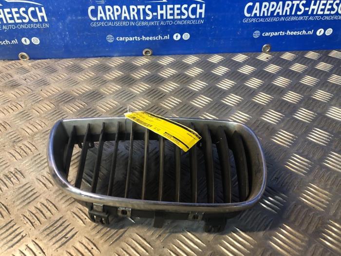 Bumper grille from a BMW 1-Serie 2004