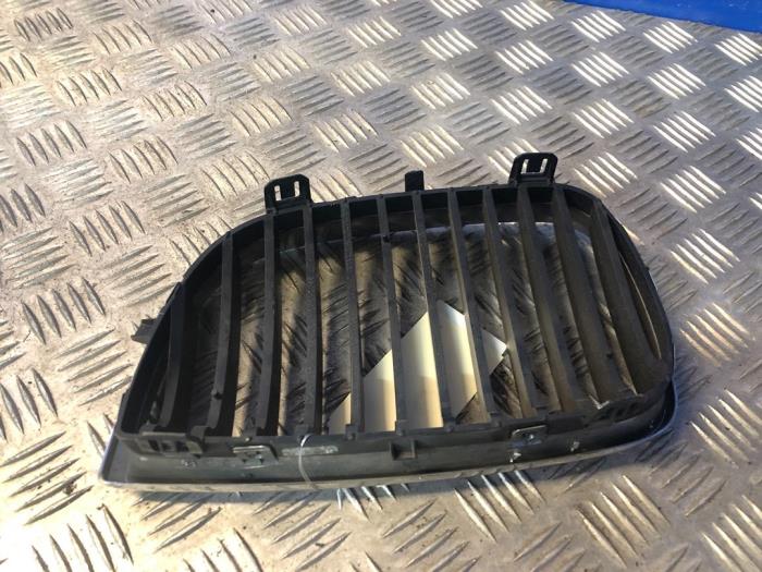 Bumper grille from a BMW 1-Serie 2004
