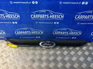 Used Grille Ford B-Max (JK8) 1.0 EcoBoost 12V 120 Price € 21,00 Margin scheme offered by Carparts Heesch