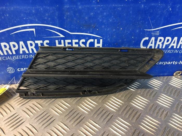 Front bumper lower grill