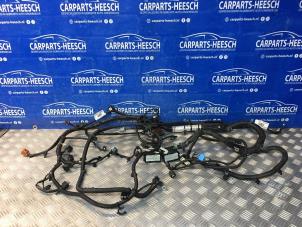 Used Wiring harness engine room Ford Focus 3 Wagon 1.0 Ti-VCT EcoBoost 12V 100 Price € 157,50 Margin scheme offered by Carparts Heesch