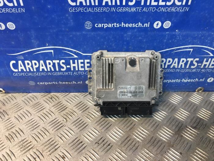 Used Engine management computer Ford Fiesta 6 (JA8) 1.0 EcoBoost 12V 100 Price € 75,00 Margin scheme offered by Carparts Heesch