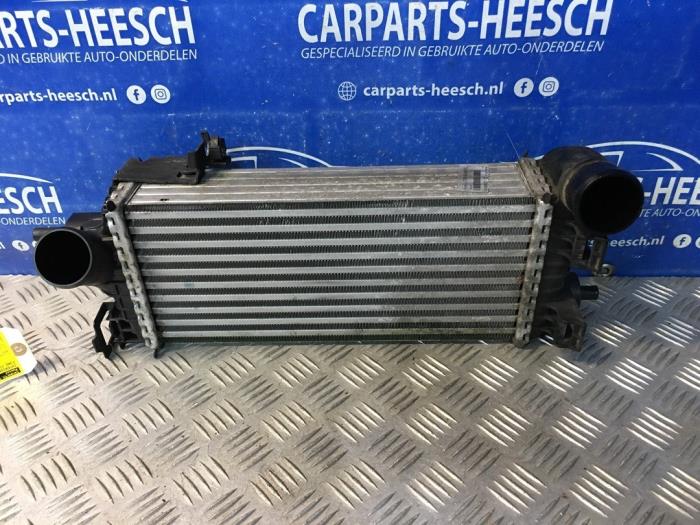 Intercooler Ford Focus 3 Wagon, 2010 / 2020 1.0 Ti-VCT EcoBoost 12V 125, Combi, Essence, 998cc, 92kW (125pk), FWD, M1DD, 2014-11 / 2018-05 (Occasion)