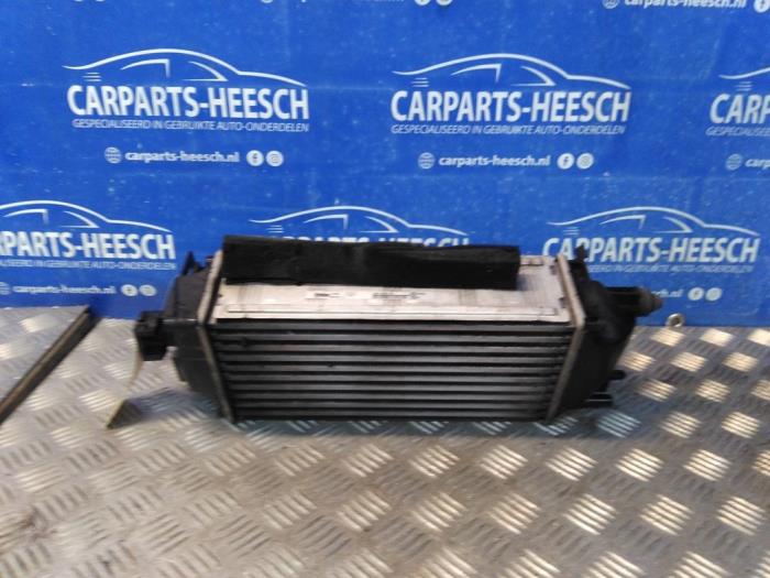 Usagé Intercooler Ford Fiesta 6 (JA8) 1.0 EcoBoost 12V 100 Prix € 50,00 Règlement à la marge proposé par Carparts Heesch