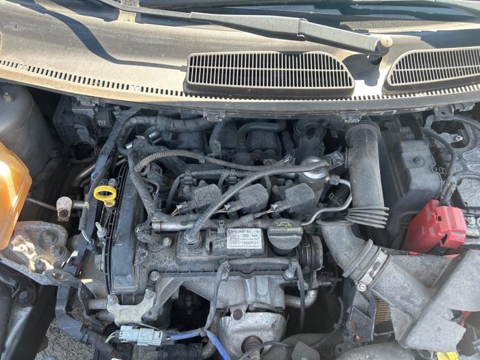 Used Engine Ford Fiesta 6 (JA8) 1.0 SCI 12V 80 Price € 1.650,00 Margin scheme offered by Carparts Heesch