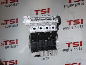 Skontrolowane Silnik Audi A3 Sportback (8PA) 2.0 TFSI 16V Cena € 2.722,50 Z VAT oferowane przez TSI-Parts