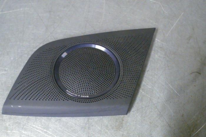 Door speaker cover trim