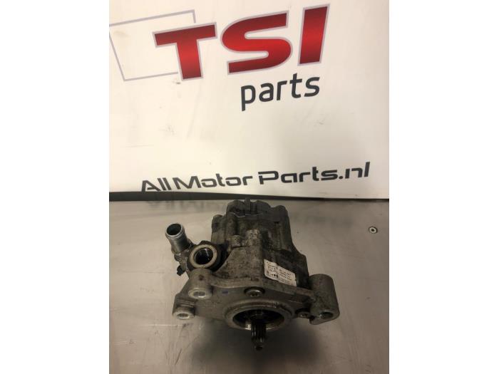 Usagé Pompe de direction Audi A8 (D3) 4.2 V8 40V FSI Lang Quattro Prix € 41,00 Règlement à la marge proposé par TSI-Parts / Allmotorparts B.V.