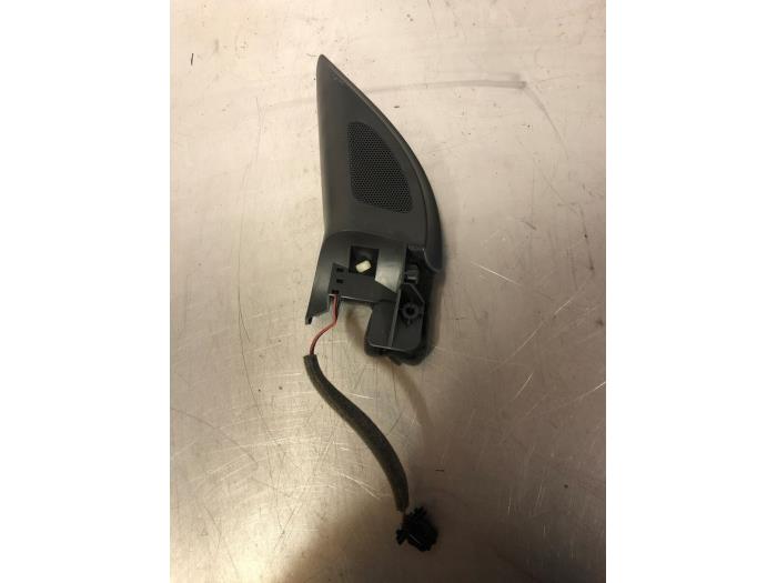 Front door high frequency speaker