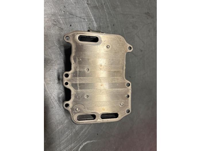 Gebrauchte Ölkühler Audi SQ5 (8RB) 3.0 TDI V6 24V Plus Preis € 41,00 Margenregelung angeboten von TSI-Parts / Allmotorparts B.V.