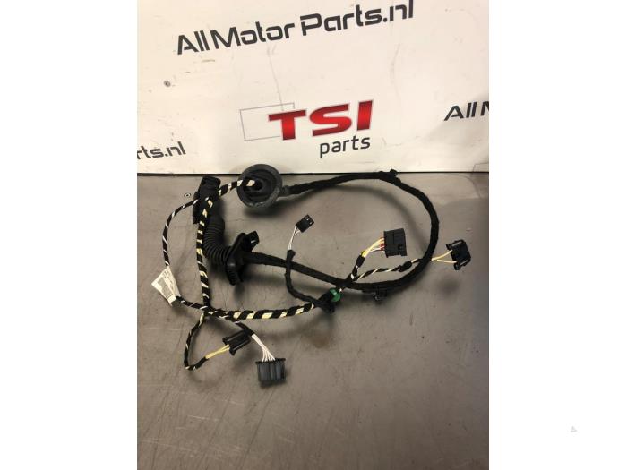 Rear door wiring loom