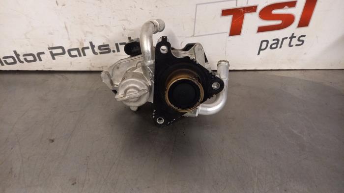 Usagé Valve RGE Audi A4 Allroad Quattro (B8) 2.0 TDI 16V Prix € 33,00 Règlement à la marge proposé par TSI-Parts / Allmotorparts B.V.