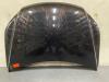 Volkswagen Tiguan (5N1/2) 2.0 TSI 16V 4Motion Motorhaube