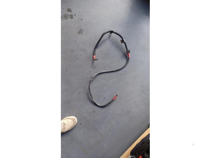 Gebrauchte Kabelbaum BMW 1 serie (E81) 116i 2.0 16V Preis € 25,00 Margenregelung angeboten von TSI-Parts / Allmotorparts B.V.