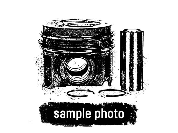 New Piston Volkswagen Polo Price € 175,45 Inclusive VAT offered by TSI-Parts / Allmotorparts B.V.