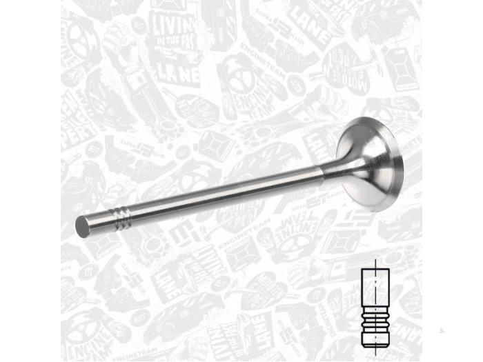 Neue Auspuffventil Audi A3 Preis € 12,61 Mit Mehrwertsteuer angeboten von TSI-Parts / Allmotorparts B.V.
