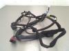 Wiring harness from a Renault Trafic (1FL/2FL/3FL/4FL), 2014 1.6 dCi 115, Delivery, Diesel, 1.598cc, 85kW (116pk), FWD, R9M452; R9MD4, 2014-05, 3FL 2014
