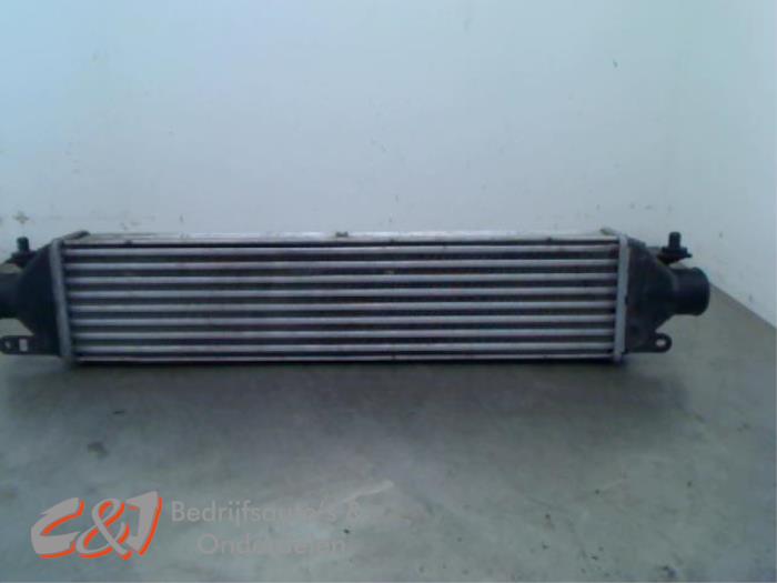 Usagé Intercooler Opel Combo 1.3 CDTI 16V Prix € 30,45 Règlement à la marge proposé par C&J Bedrijfsauto's & Onderdelen