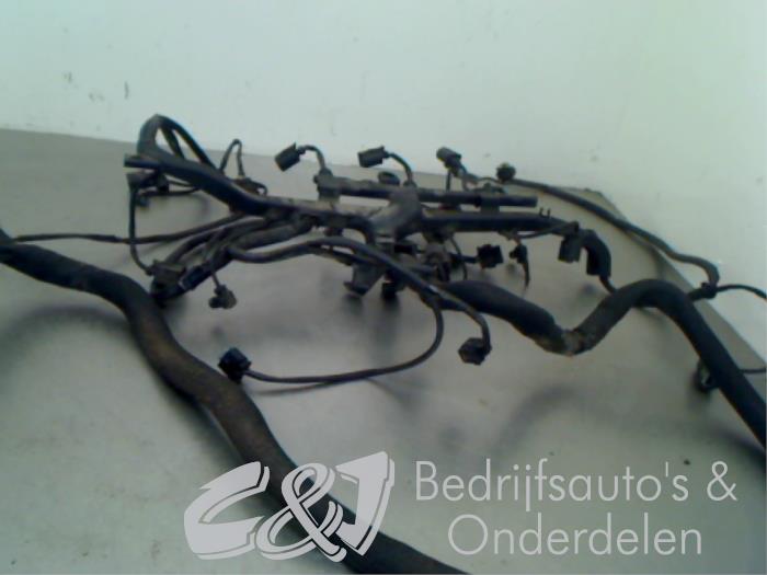 Wiring harness engine room from a Mercedes-Benz Sprinter 3t (906.61) 209 CDI 16V 2007