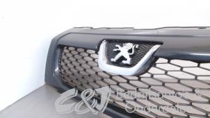 Used Grille Peugeot Boxer (U9) 2.2 HDi 150 Price € 131,25 Margin scheme offered by C&J bedrijfsauto's & onderdelen