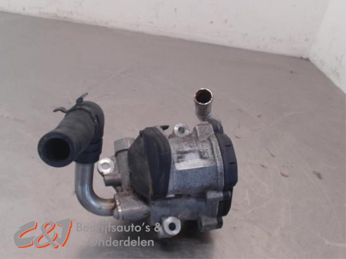 EGR valve Volkswagen Caddy IV 2.0 TDI 102 041131501 CUUD