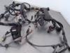 Wiring harness from a Fiat Ducato (250), 2006 2.3 D 150 Multijet, Delivery, Diesel, 2.287cc, 109kW (148pk), FWD, F1AE3481E, 2014-07 2014