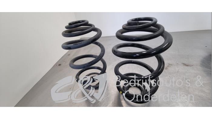 Rear coil spring from a Renault Trafic (1FL/2FL/3FL/4FL) 2.0 dCi 16V 145 2019
