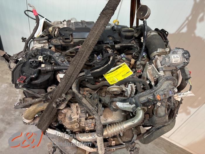 Engine from a Ford Transit Courier 1.5 TDCi 75 2020