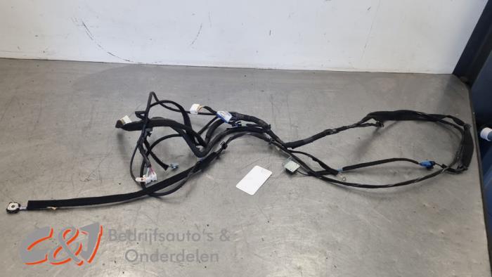 Begagnade Kablage Renault Trafic (1FL/2FL/3FL/4FL) 1.6 dCi 125 Twin Turbo Pris € 31,50 Marginaltabell erbjuds av C&J Bedrijfsauto's & Onderdelen