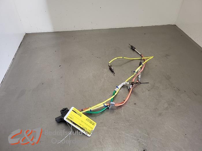 Begagnade Partikelfiltersensor Renault Trafic (1FL/2FL/3FL/4FL) 2.0 dCi 16V 150 Pris € 68,25 Marginaltabell erbjuds av C&J Bedrijfsauto's & Onderdelen