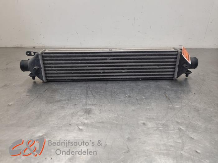 Usagé Intercooler Fiat Doblo Cargo (263) 1.3 D Multijet Prix € 29,40 Règlement à la marge proposé par C&J Bedrijfsauto's & Onderdelen