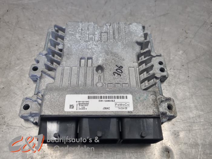 Used Engine management computer Ford Transit Connect (PJ2) 1.6 TDCi 16V 95 Price € 131,25 Margin scheme offered by C&J Bedrijfsauto's & Onderdelen