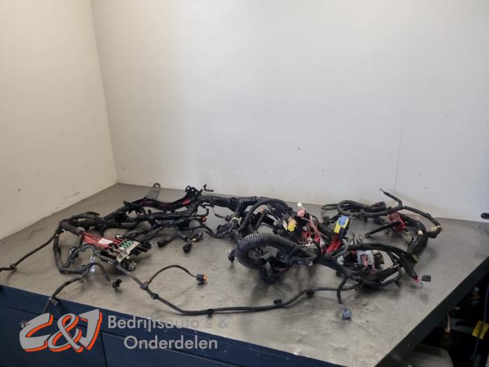 Engine installation wiring loom