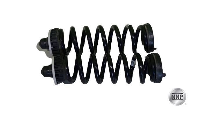 Coil spring rubber mount
