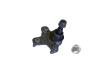 Steering knuckle ball joint from a Volkswagen Golf VIII (CD1), Hatchback, 2019 2020