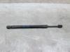 Rear gas strut, right from a Volkswagen Beetle (16AE), Convertible, 2011 / 2019 2015