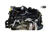 Motor from a Audi A4 Avant (B9) 3.0 TDI V6 24V Quattro 2016