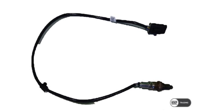 Usados Sonda Lambda BMW X5M (G05) 4.4i V8 32V Turbo Competition Precio € 175,45 IVA incluido ofrecido por NNP Automotive Group