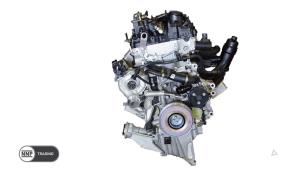 Używane Silnik BMW X4 (G02) xDrive 25i 2.0 TwinPower Turbo 16V Cena € 4.779,50 Z VAT oferowane przez NNP Automotive Group