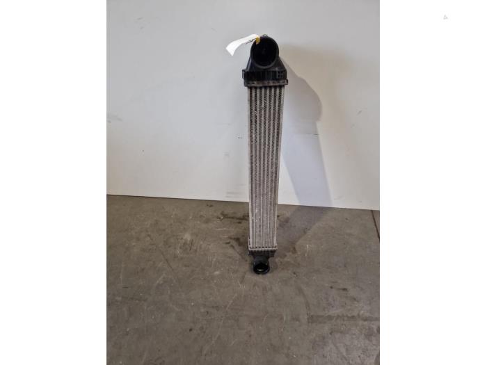Used Intercooler Mercedes A (W169) 1.7 A-170 3-Drs. Price € 60,50 Inclusive VAT offered by Autoparts Van De Velde