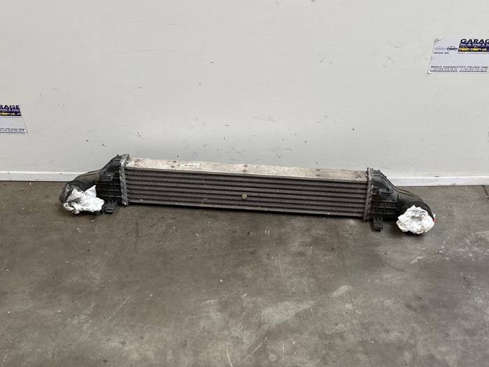 Usados Intercooler Mercedes E (W211) 2.2 E-200 CDI 16V Precio € 60,50 IVA incluido ofrecido por Autoparts Van De Velde
