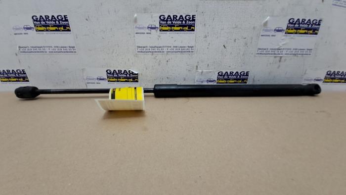 Tailgate strut
