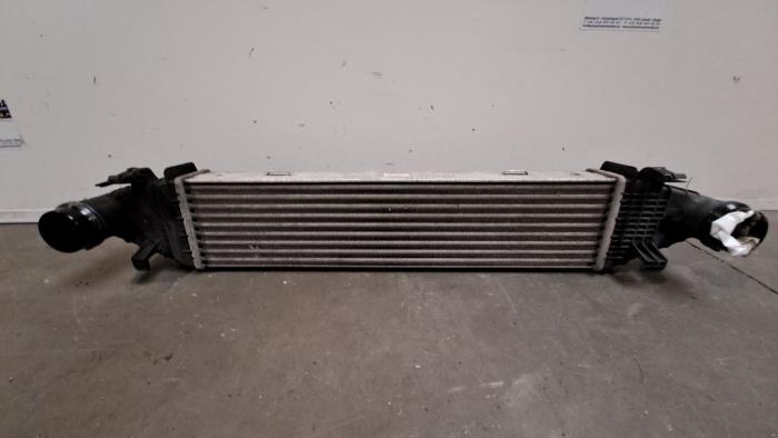 Usados Intercooler Mercedes E (W212) E-200 CDI 16V BlueEfficiency,BlueTEC Precio € 60,50 IVA incluido ofrecido por Autoparts Van De Velde