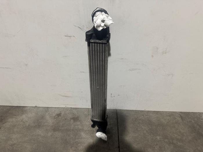 Usados Intercooler Mercedes E (W211) 2.2 E-200 CDI 16V Precio € 60,50 IVA incluido ofrecido por Autoparts Van De Velde