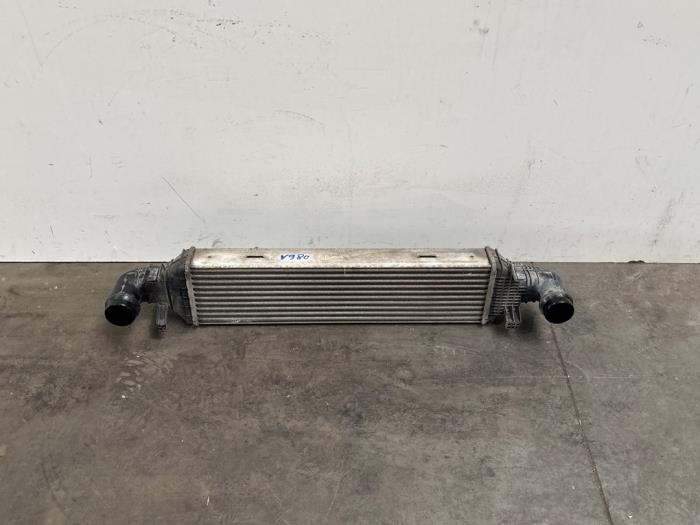 Intercooler d'un Mercedes-Benz CLS Shooting Brake (X218) 250 CDI BlueEfficiency,BlueTEC, 250 d 2013