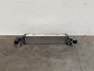 Intercooler d'un Mercedes-Benz CLS Shooting Brake (X218) 250 CDI BlueEfficiency,BlueTEC, 250 d 2013