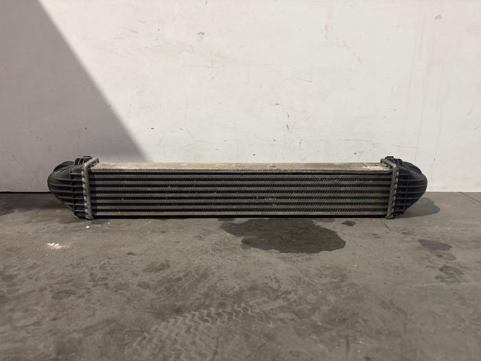 Usagé Intercooler Mercedes A (W169) 2.0 A-180 CDI 16V Prix € 60,50 Prix TTC proposé par Autoparts Van De Velde