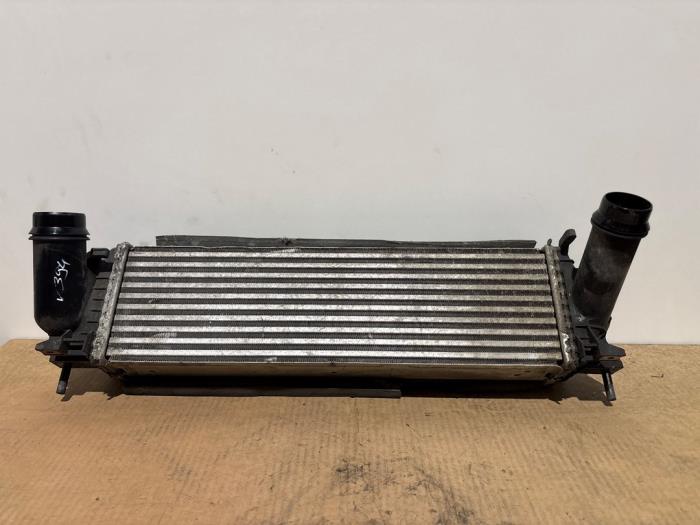 Usados Intercooler Mercedes X (470) 250d 16V 4-Matic Precio € 121,00 IVA incluido ofrecido por Autoparts Van De Velde