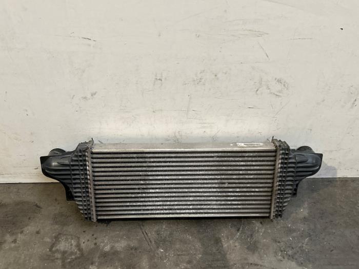 Usagé Intercooler Mercedes R (W251) 3.0 280 CDI 24V 4-Matic Prix € 90,75 Prix TTC proposé par Autoparts Van De Velde