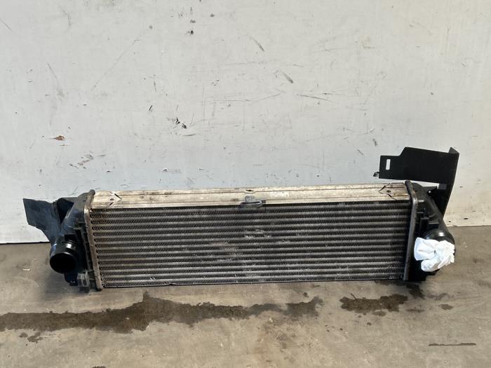 Usagé Intercooler Mercedes Sprinter 3,5t (906.63) 313 CDI 16V Prix € 78,65 Prix TTC proposé par Autoparts Van De Velde